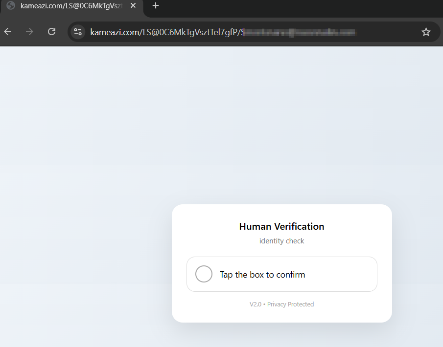 CAPTCHA verification gate